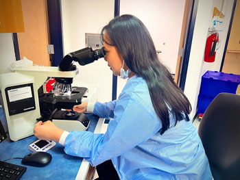 Female working in a Laboratory looking down into a microscope.